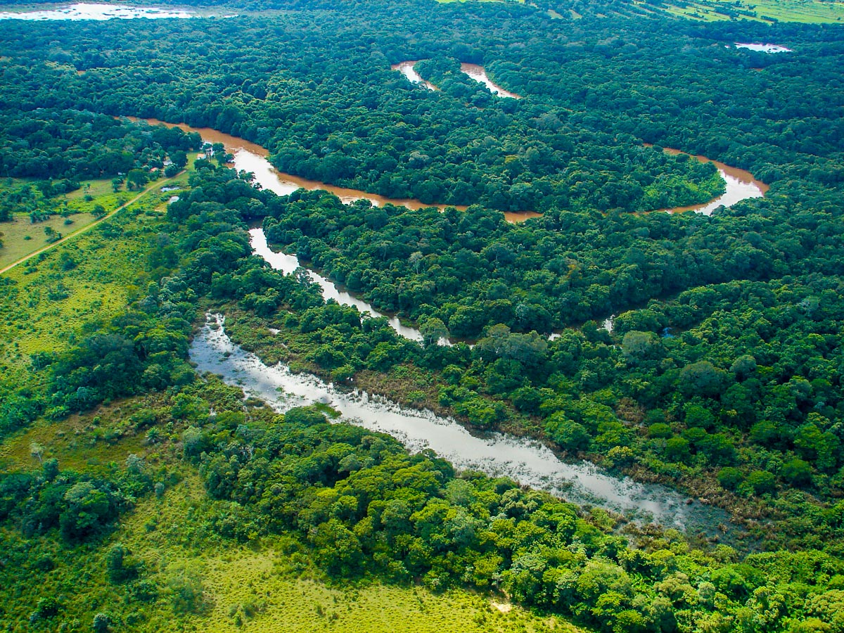View out of small plane over the Pantanal by Reinhard Thomas ©